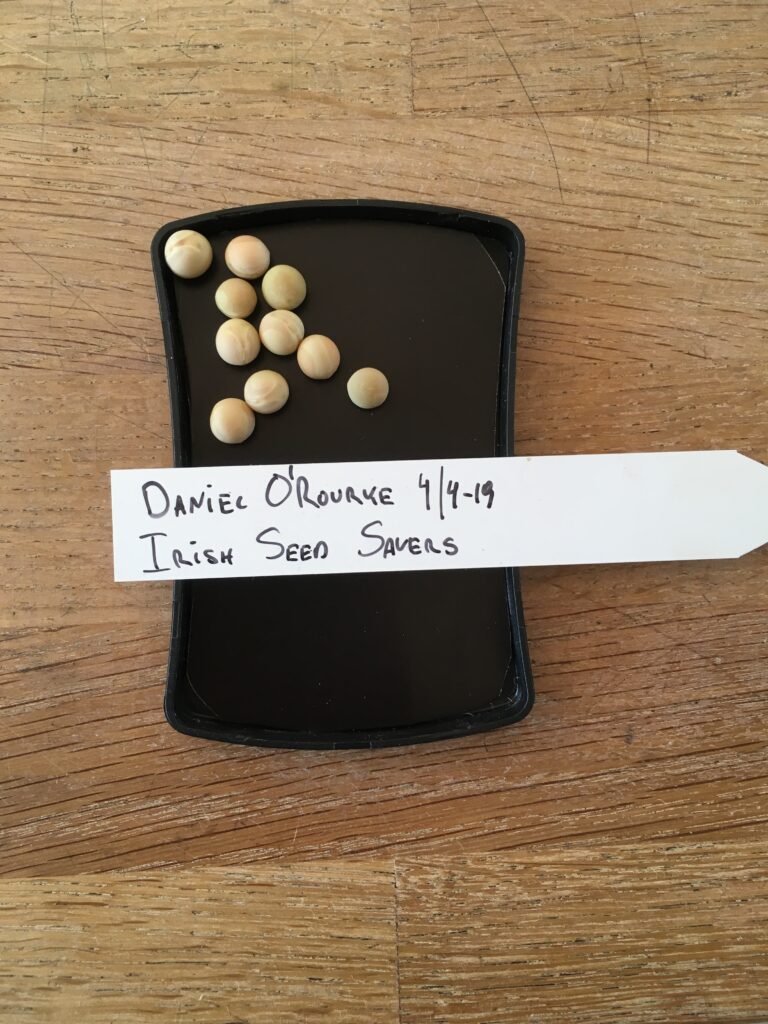 Daniel O´Rourke fra Irish Seeds Savers Association.