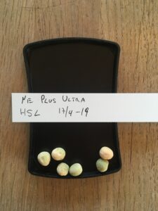 Ne Plus Ultra. Fra Heritage Seed Library, England.
