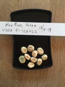 Non Plus Ultra. Fra genbanken i USA, U. S. National Plant Germplasm System N. P. G. S. Accessionsnr. PI 326422.